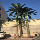 El árbol profesional de Canada Artificial Palm del fabricante del Amazonas se va al aire libre para la decoración casera