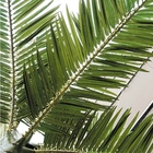 El ajardinar plástico al aire libre del jardín de la palmera de la fibra de vidrio los 7m