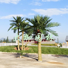 Barhi deja a 4m las palmeras artificiales al aire libre para la piscina