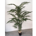 Plantas artificiales de los bonsais de Dypsislutescens, falsa palmera de la areca del 1m