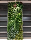 10 años de contexto verde artificial de la pared, los falsos paneles del boj del 100*100cm