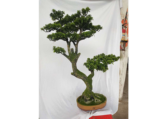 Árbol de pino ornamental artificial decorativo de la Navidad