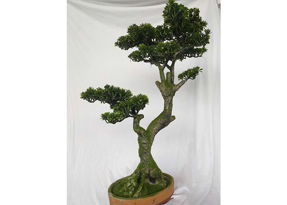 Árbol de pino ornamental artificial decorativo de la Navidad
