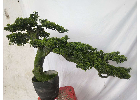 Árbol de pino ornamental artificial decorativo de la Navidad