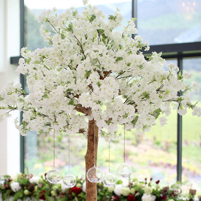 Falso árbol del flor del OEM el 1.5m, Cherry Blossom Tree With blanco artificial 5 años de vida