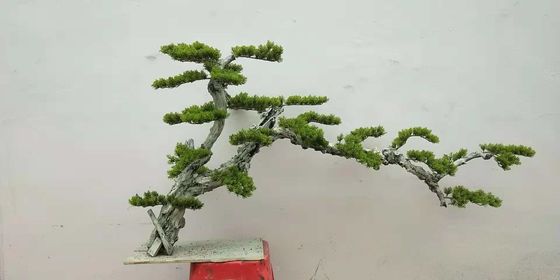 Árboles verdes artificiales de Dajia el 1m, árbol falso realista de los bonsais para el jardín
